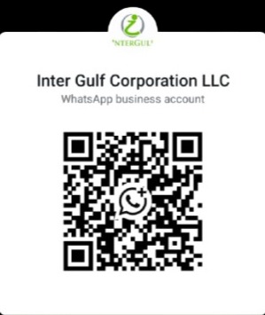 WhatsApp QR